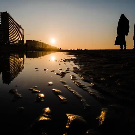 In With Sea Views Ostend